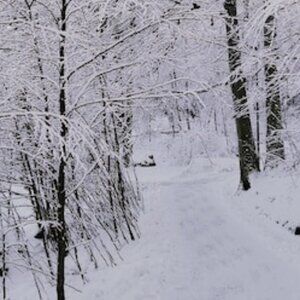 Meet your Posher, 𝓜𝓪𝓭𝓪𝓶 𝓐𝓷𝓭𝓻𝓮𝓪'𝓼 𝓬𝓵𝓸𝓼𝓮𝓽